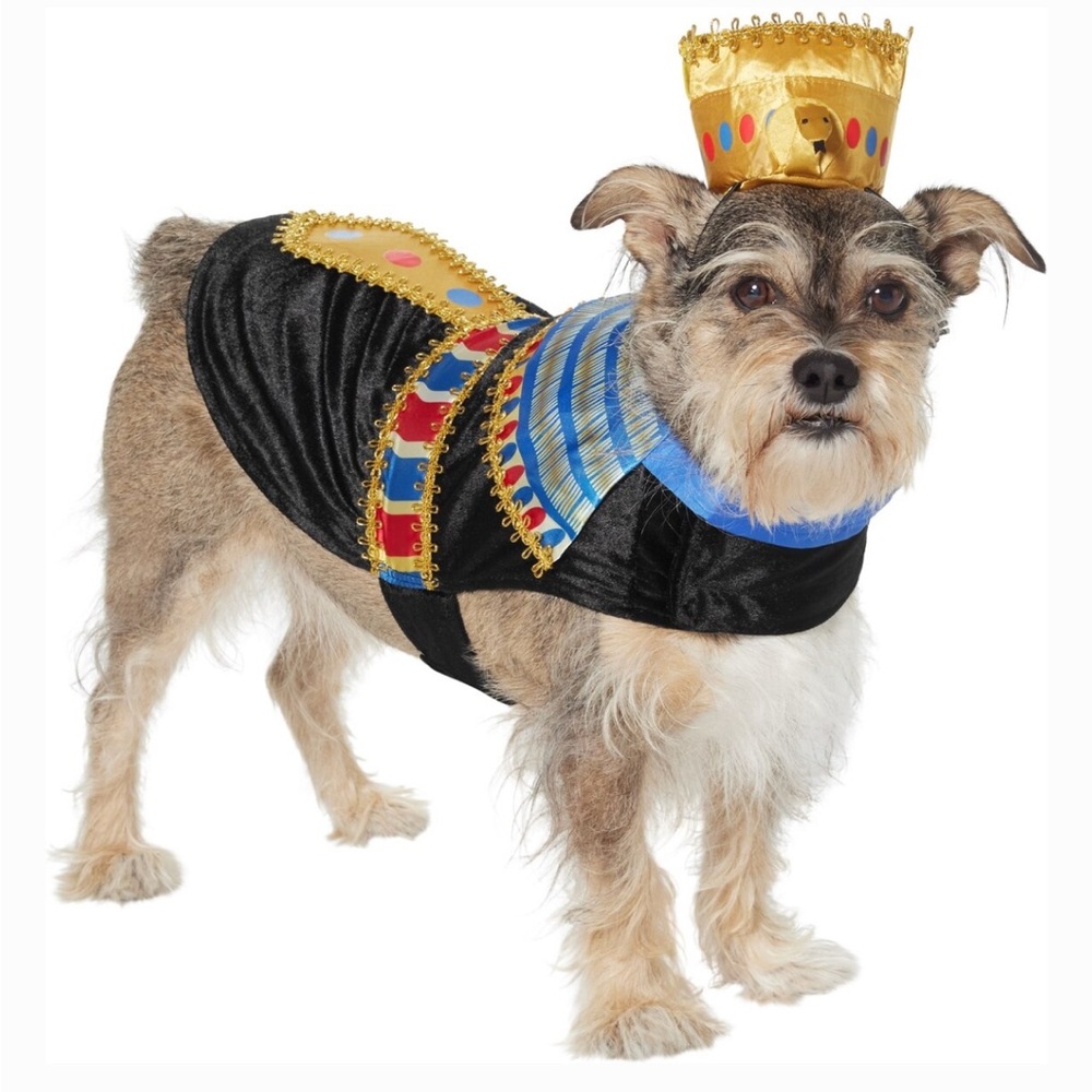 Pharoah Dog Costume